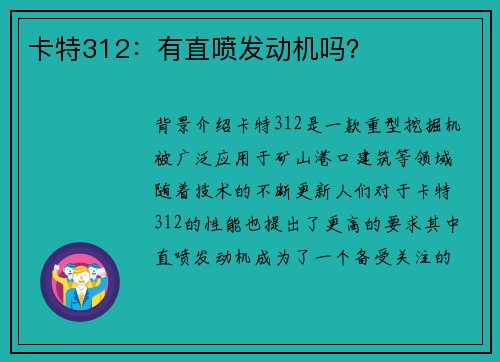 卡特312：有直喷发动机吗？